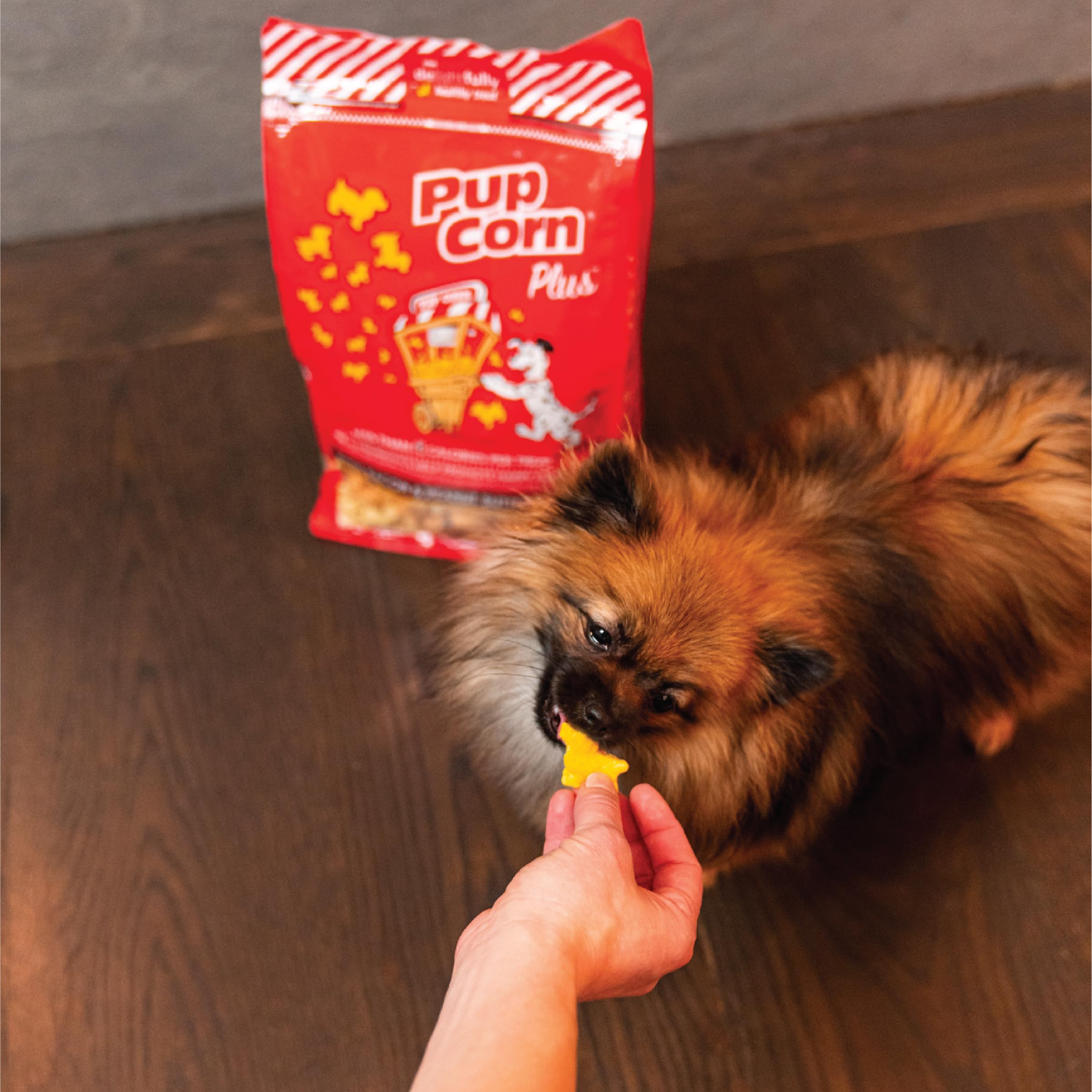 Pup Corn Plus dressage et jeu, friandise idéale pour l'entraînement.