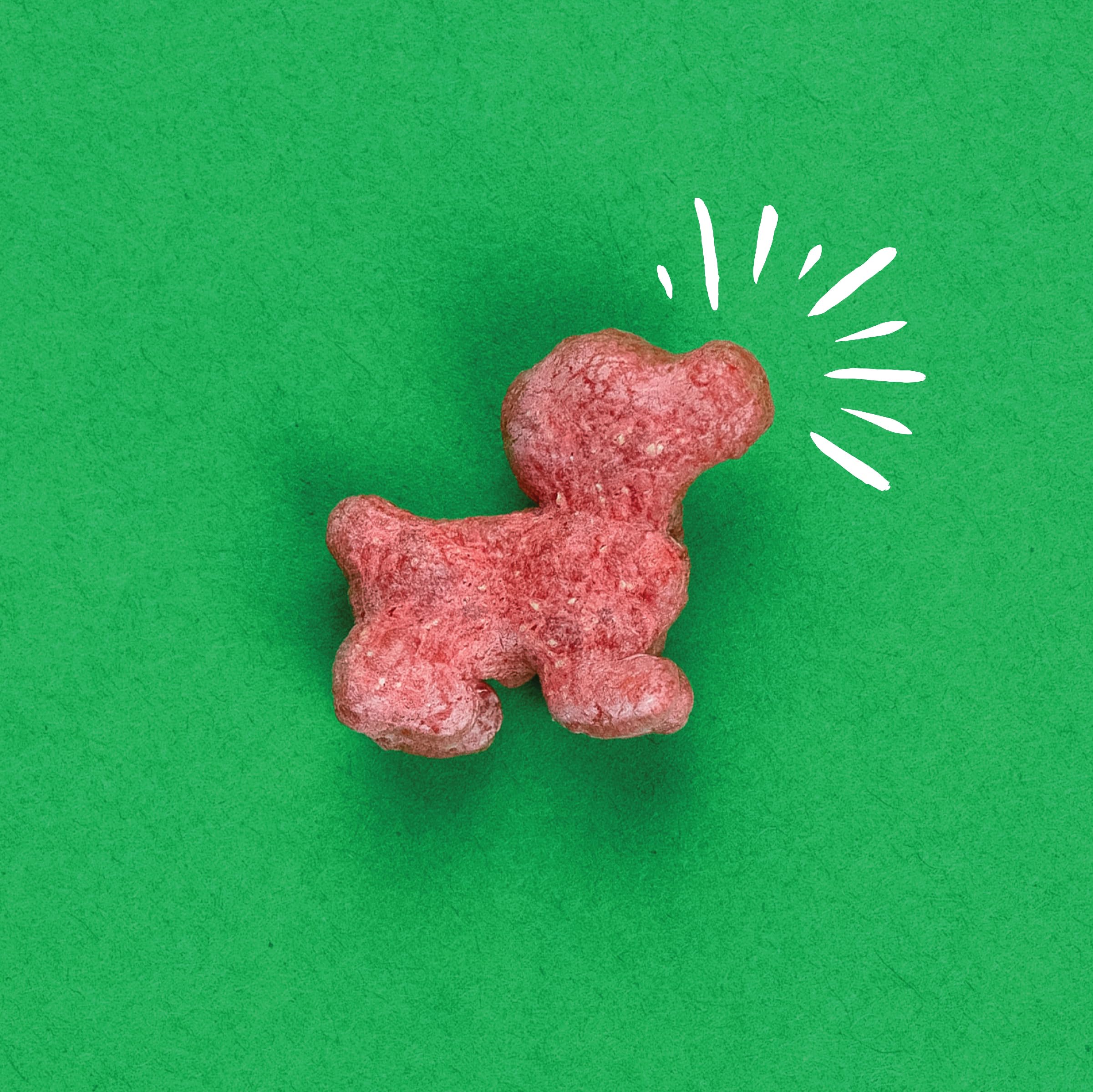 Pup Corn Plus fabriqué aux États-Unis dans une cuisine familiale.
