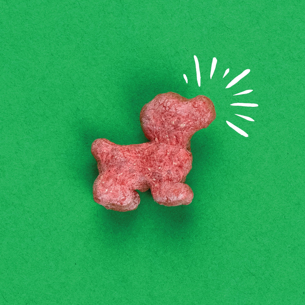 Pup Corn Plus fabriqué aux États-Unis dans une cuisine familiale.
