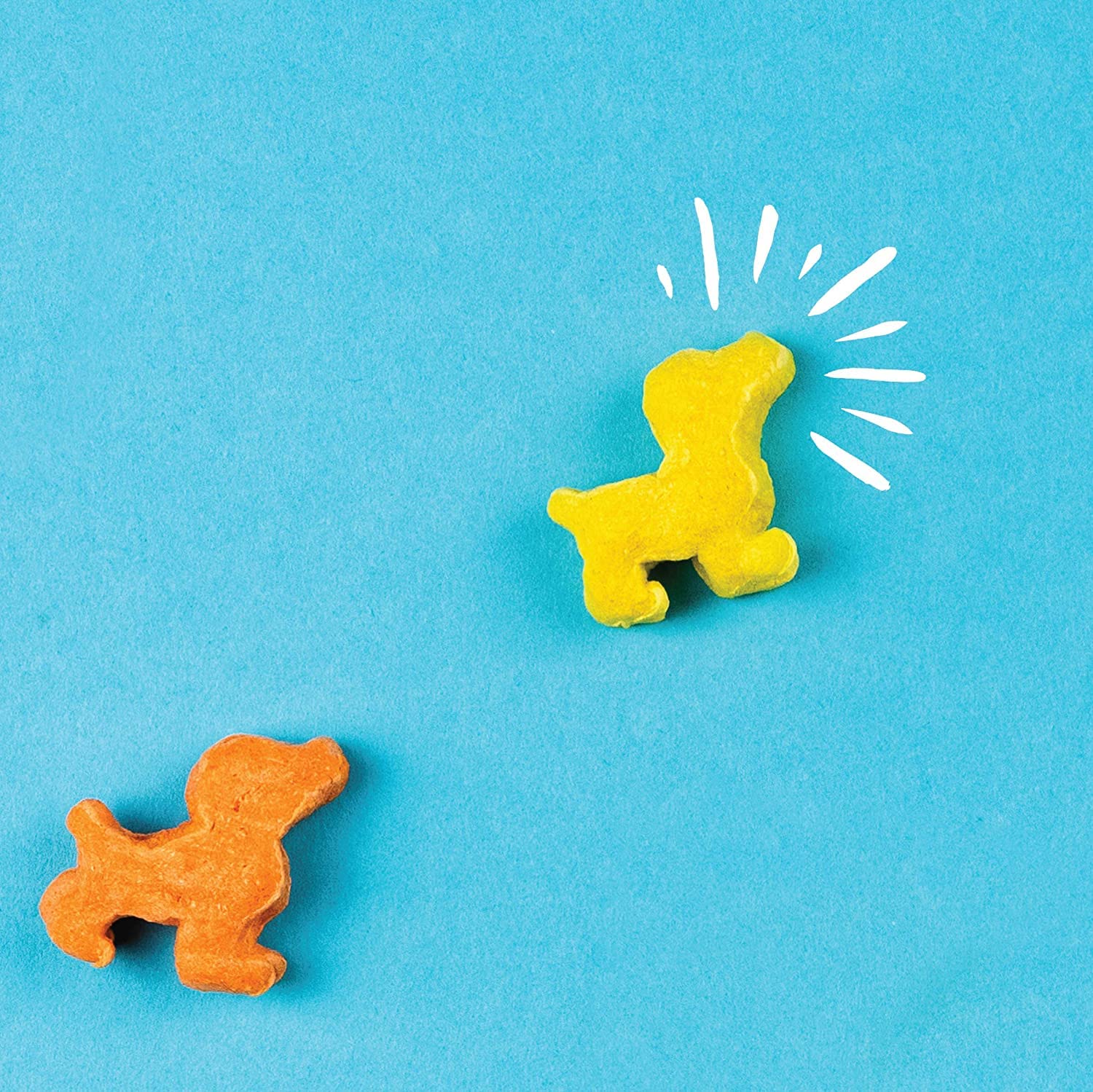 Pup Corn Plus: sans arômes artificiels, friandise naturelle et savoureuse.