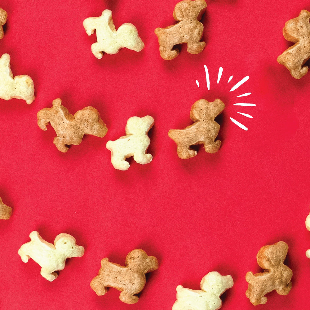 Pup Corn Plus sans aromes artificiels ni conservateurs pour chien.