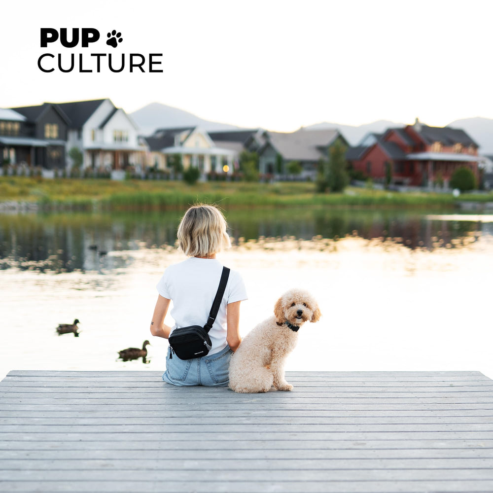 Distributeur de sacs a crotte Pup Culture discret pour balades propres.