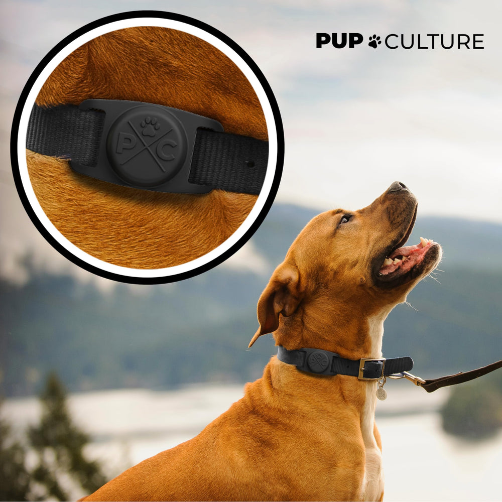 Pup Culture AirTag collier chien: coque imperméable protégeant durablement l AirTag