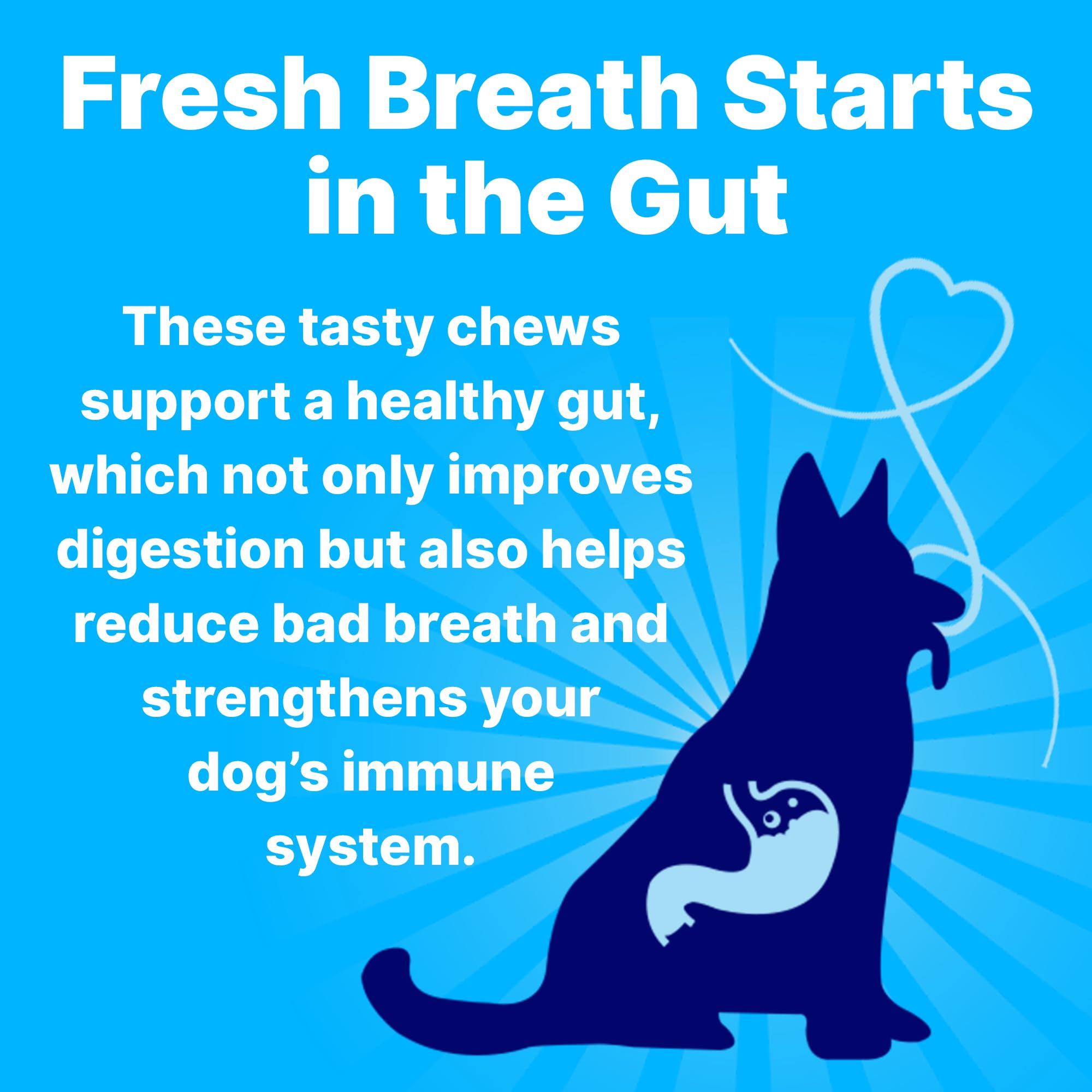 Ingrédients naturels menthe, persil et spiruline dans Pup Labs Fresh Breathies.