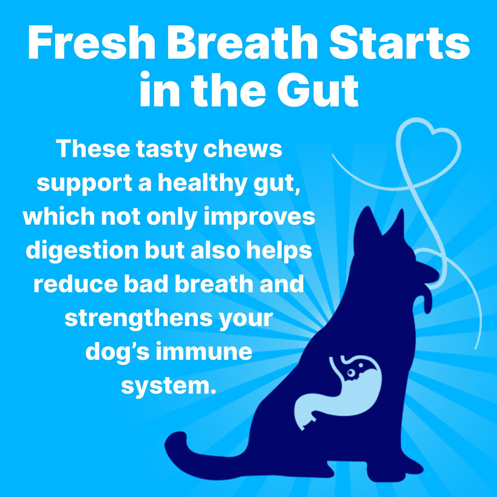 Ingrédients naturels menthe, persil et spiruline dans Pup Labs Fresh Breathies.