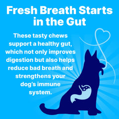 Ingrédients naturels menthe, persil et spiruline dans Pup Labs Fresh Breathies.