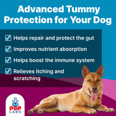 Pup Labs K9 Belly Bliss: ajout sur nourriture chien pour digestion