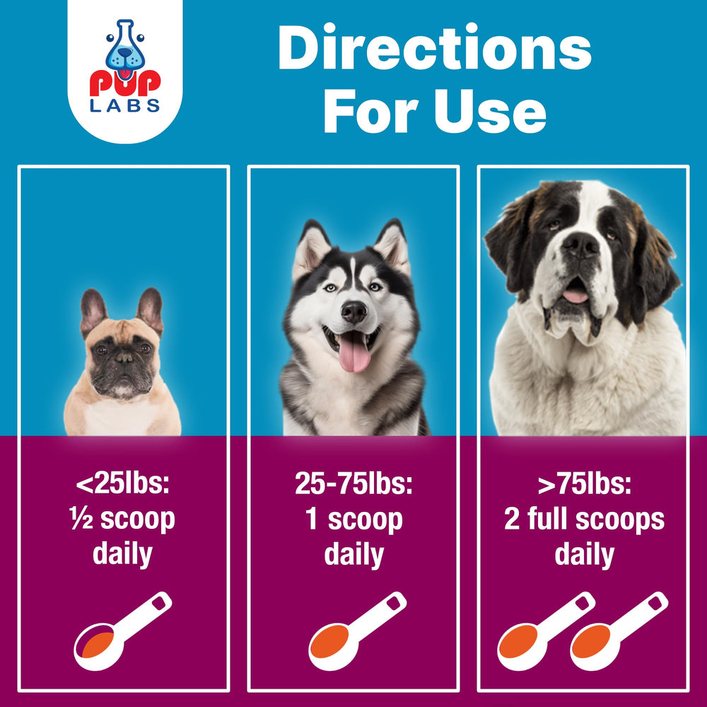 Pup Labs K9 Belly Bliss l-glutamine: ingrédient clé pour la santé intestinale