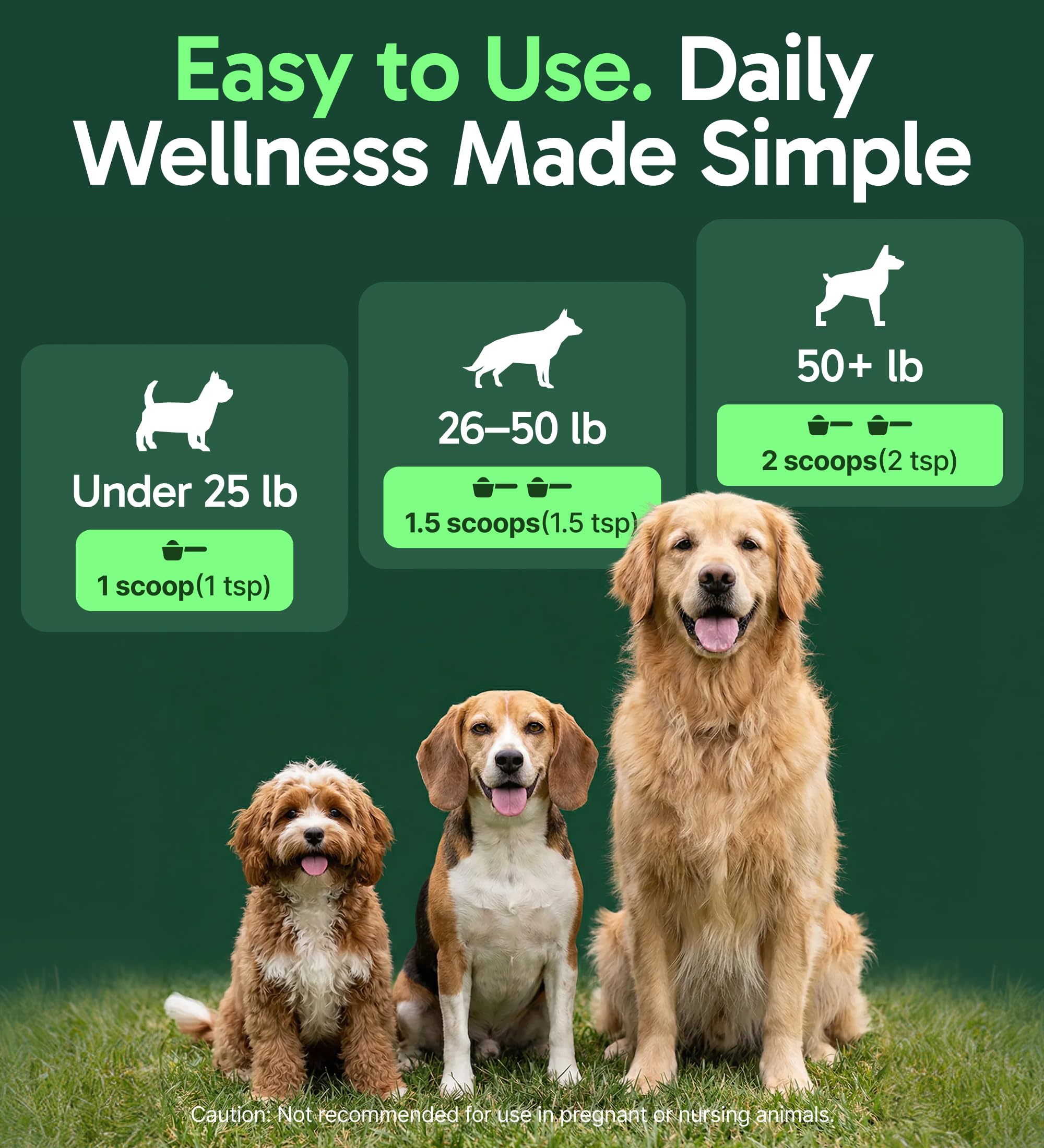 Pup Labs K9 Immune – champignon queue-de-dinde, antioxydants naturels