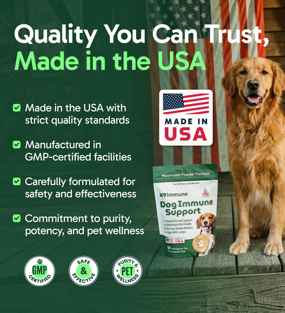 Pup Labs K9 Immune – mélange fonctionnel pour articulations et énergie quotidienne