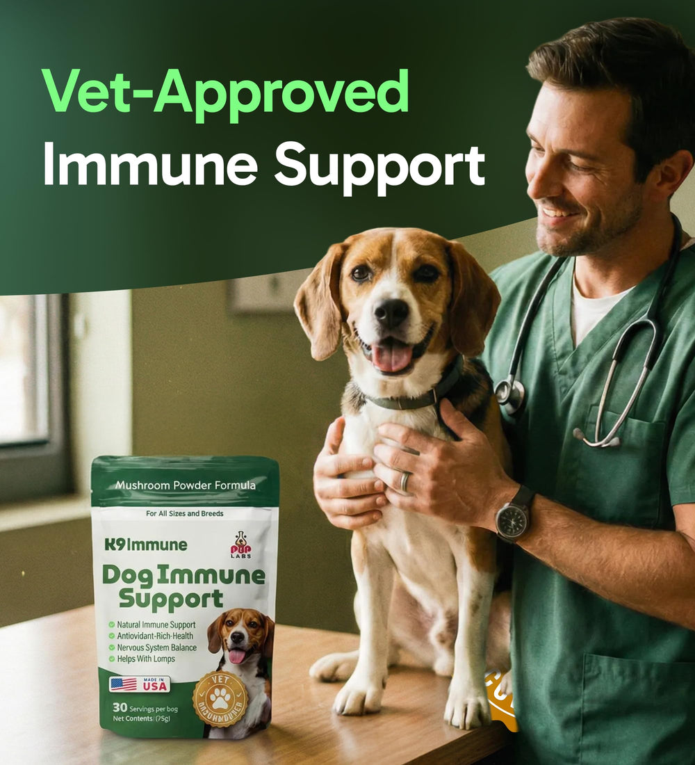 Pup Labs K9 Immune – texture fine et facile à mélanger au repas