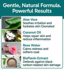Pup Labs K9 Soothe ingrédients-aloé-vera : apaise et hydrate la peau irritée.