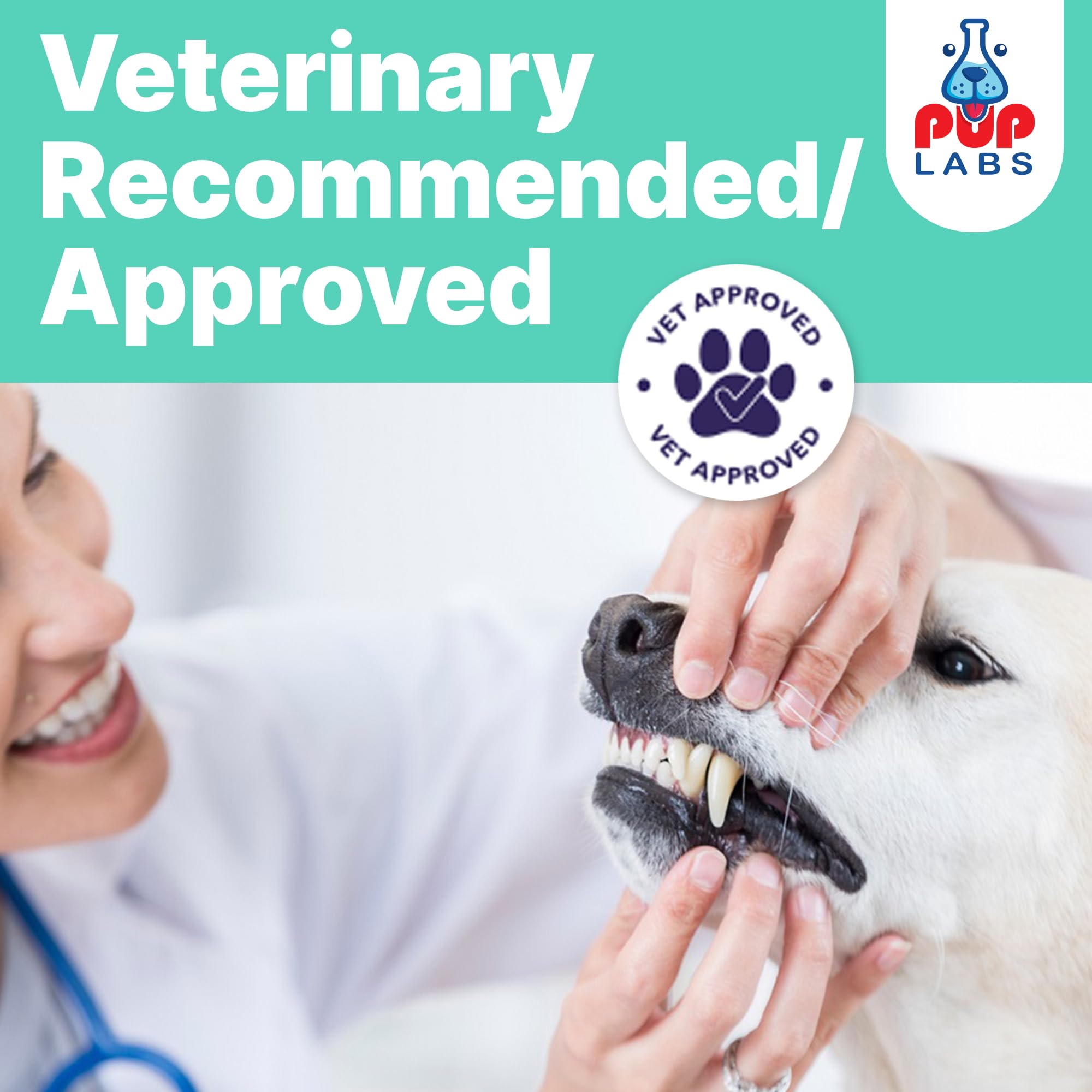 Pup Labs ProDenta — 30 portions pratiques pour la routine quotidienne du chien.