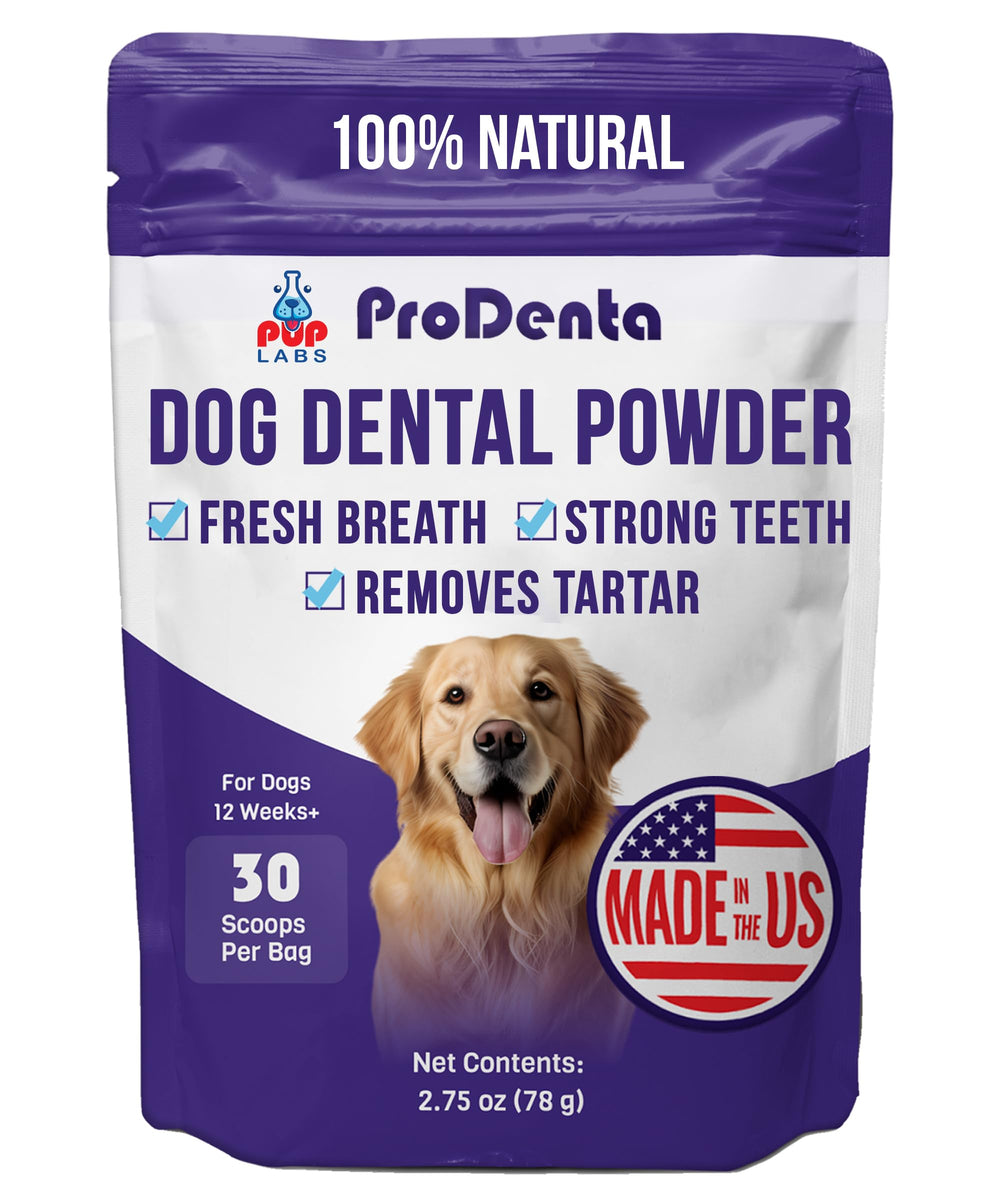 Pup Labs ProDenta: bouteille de poudre dentaire, soutien pratique à l'hygiène dentaire canine.