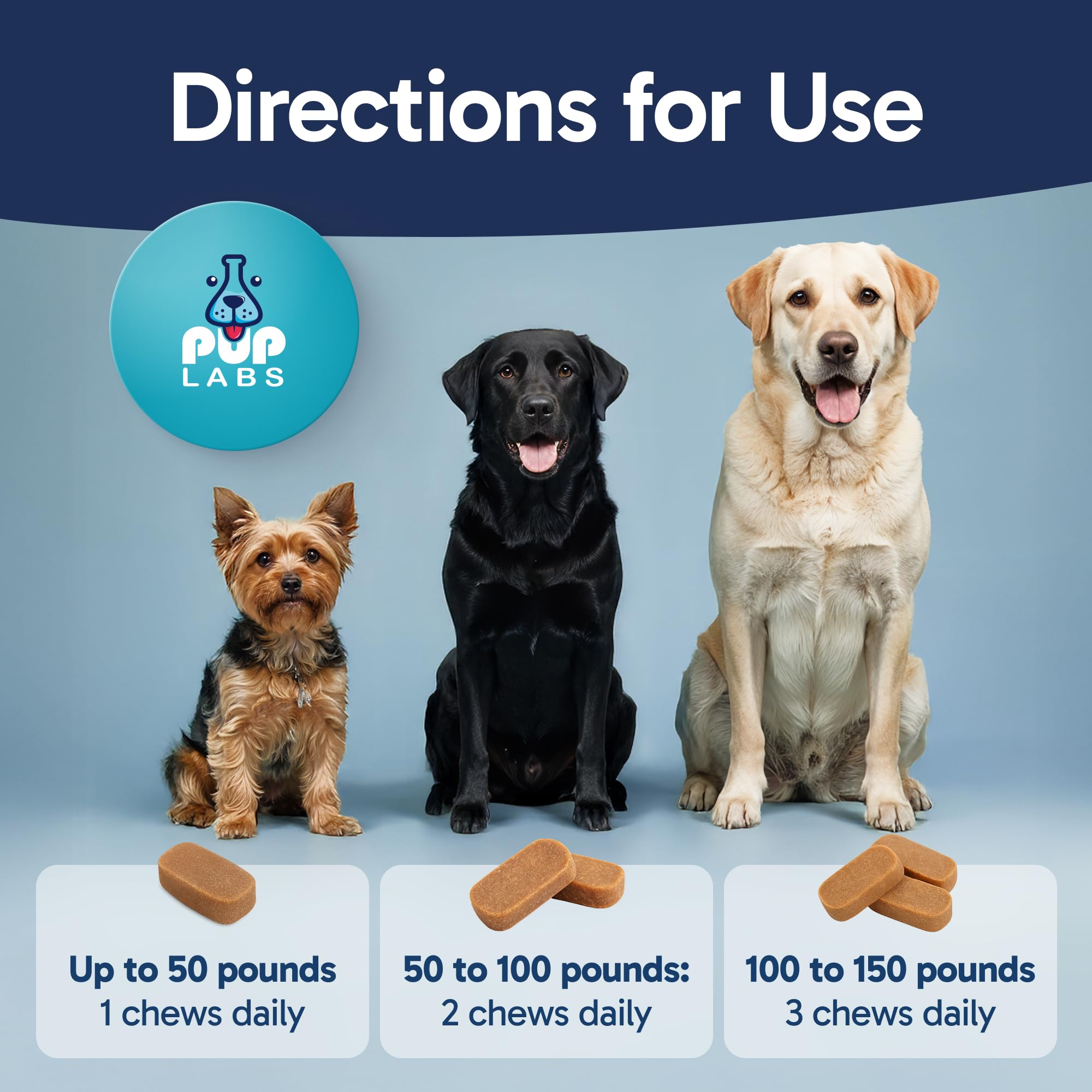 Friands probiotiques quotidiens Pup Labs, goût apprécié par les chiens.