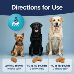 Friands probiotiques quotidiens Pup Labs, goût apprécié par les chiens.