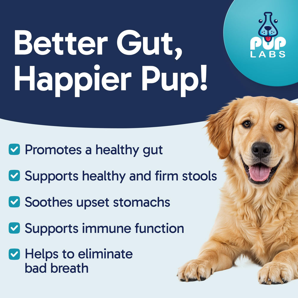 Pup Labs Probiotiques chiens, ingrédients potiron et avoine, soutien digestif naturel.
