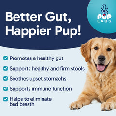 Pup Labs Probiotiques chiens, ingrédients potiron et avoine, soutien digestif naturel.