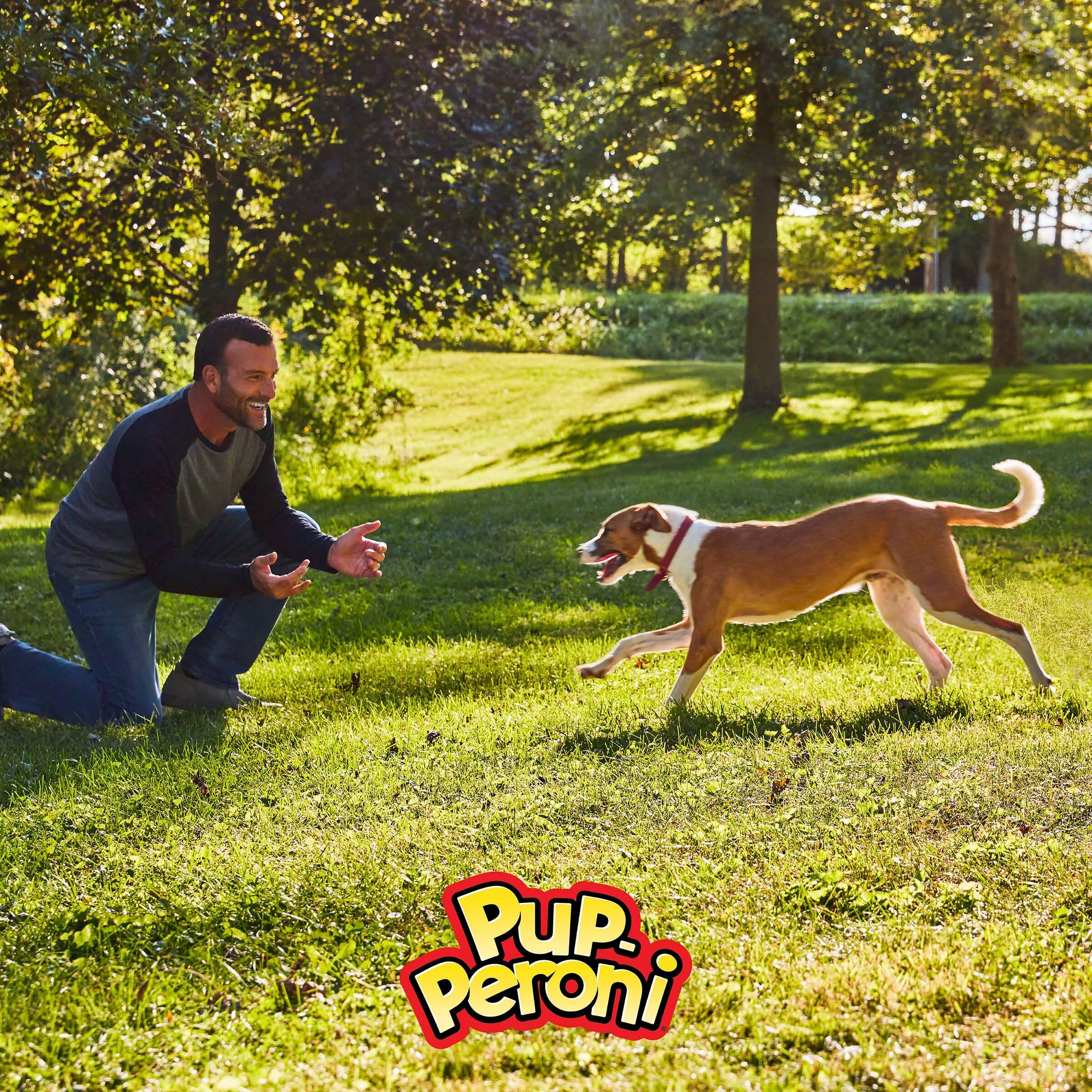Pup-Peroni friandise boeuf maigre: option sans additifs inutiles.