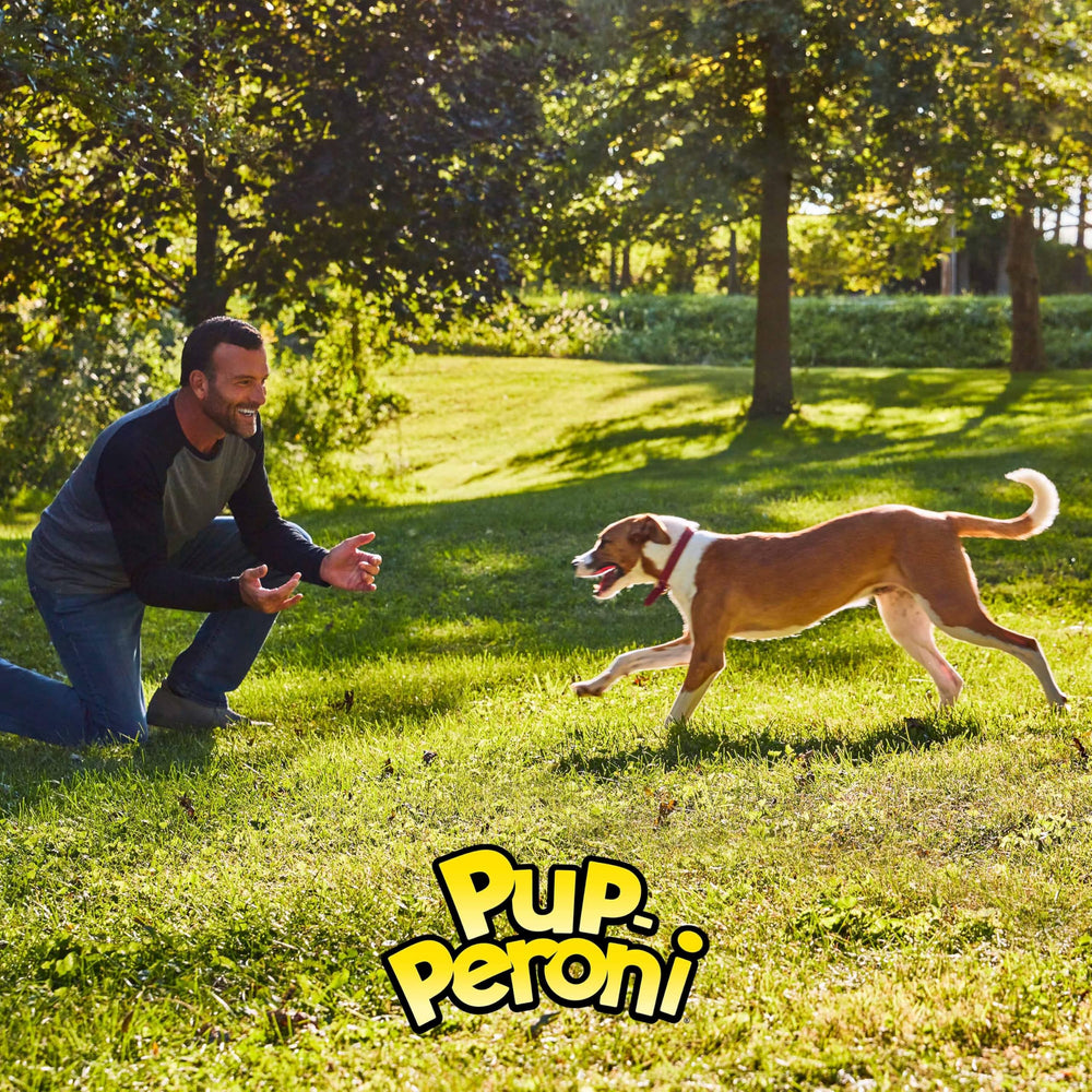 Sans agents de remplissage, Pup-Peroni Prime Rib plus pur