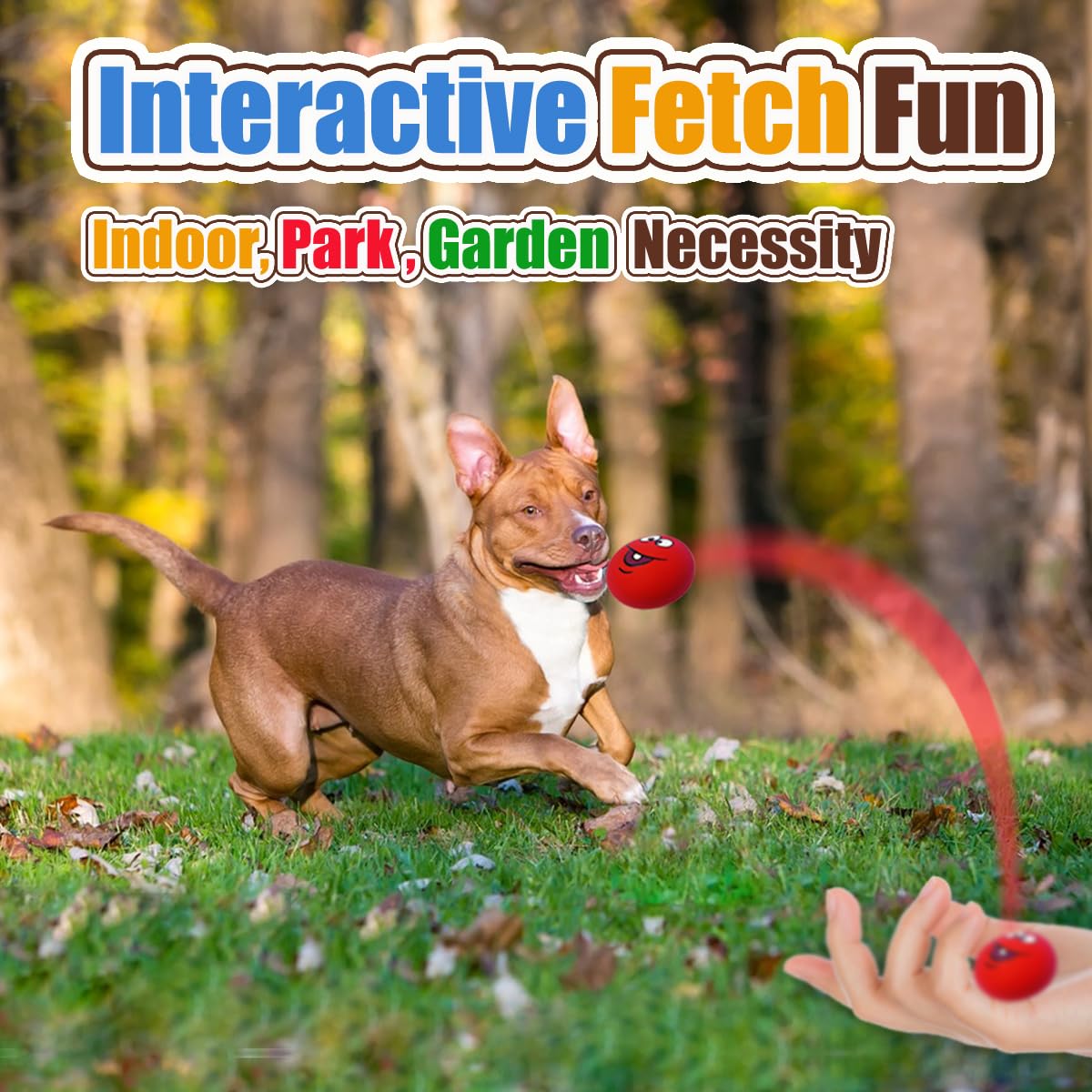 PUPATTIC cadeau ideal pour chien, jouet utile et amusant.