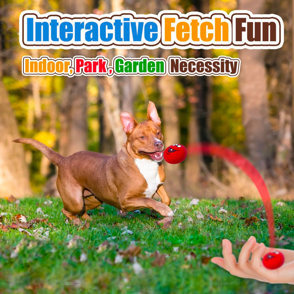 PUPATTIC cadeau ideal pour chien, jouet utile et amusant.
