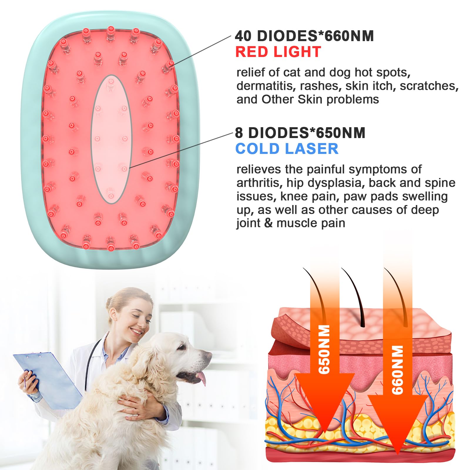 PUPCA brosse laser arthrite animale, peut soutenir la mobilité et le confort.