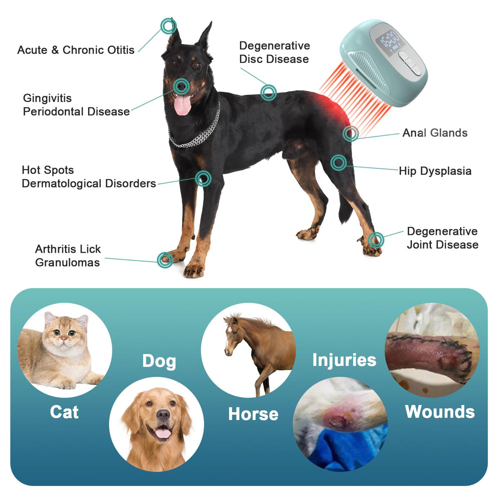 PUPCA brosse nettoyage poils et peau, adaptée à tout type de pelage.