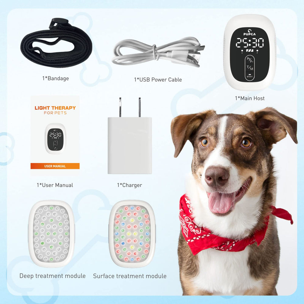 PUPCA ensemble d’accessoires et manuel, prêt à démarrer