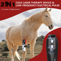 PUPCA thérapie laser portable pour cheval, pratique en écurie.