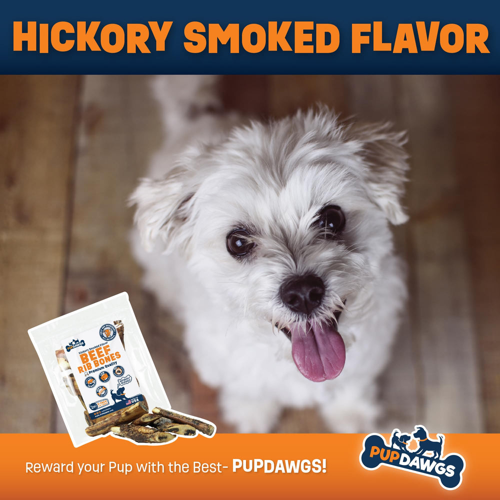 PUPDAWGS pack de 40 pièces pour plusieurs sessions.
