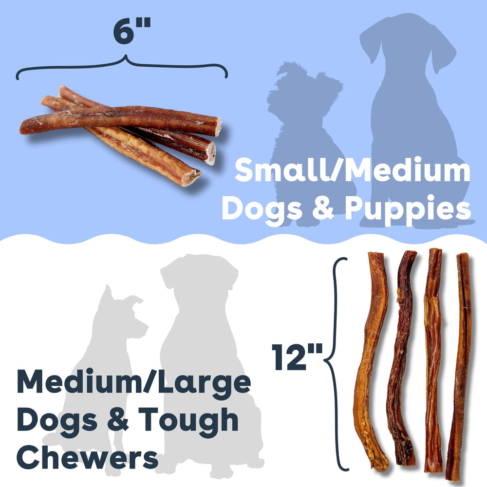 Pupford Bully Sticks pour petites et moyennes races, plaisir durable.