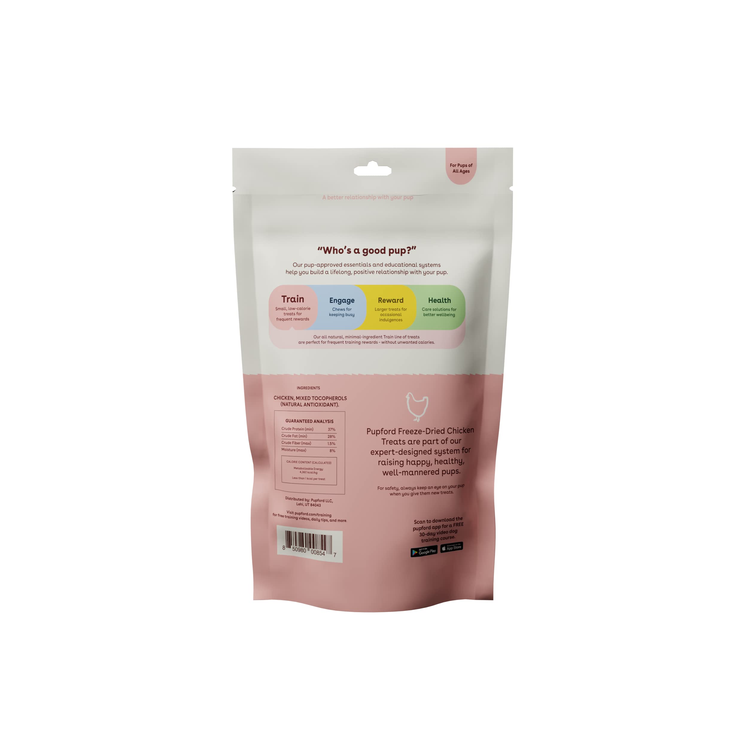 Friandises Pupford en action pour chien heureux pendant l'entraînement