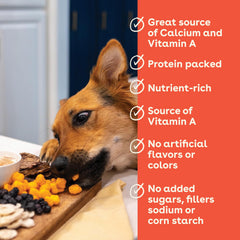 Chien heureux recevant une friandise Pupford au fromage.