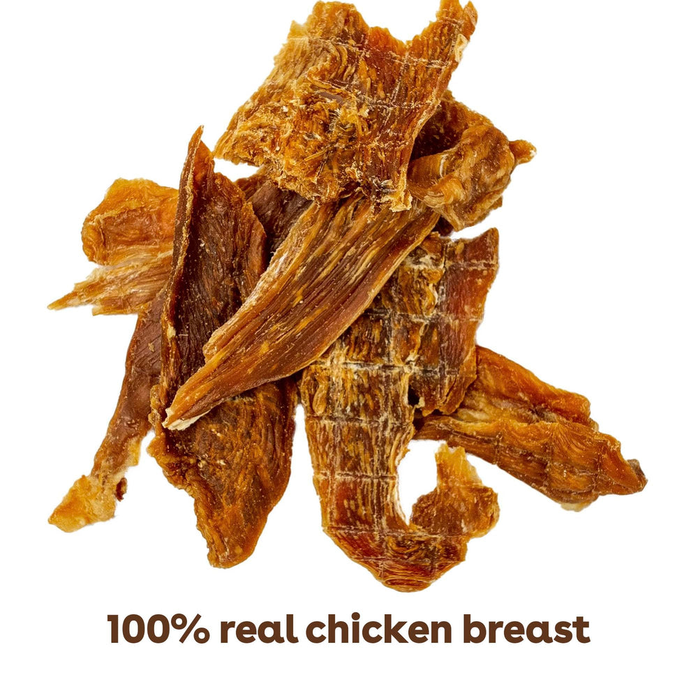 Chien savourant Pupford jerky au poulet lors d’un entraînement.
