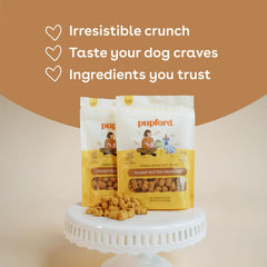 Chiot dégustant Pupford Crunchies, plaisir et récompense pendant l'apprentissage.