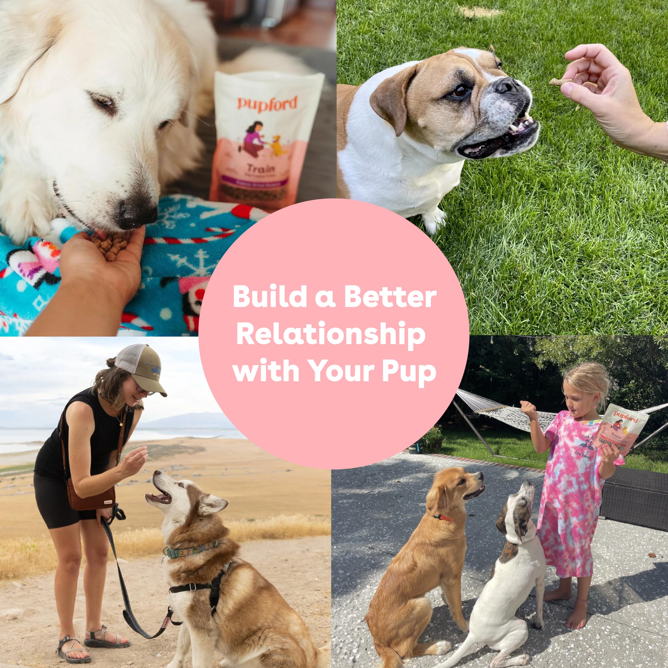 Engagement Pupford sur la qualité et la simplicité des produits pour chiens.
