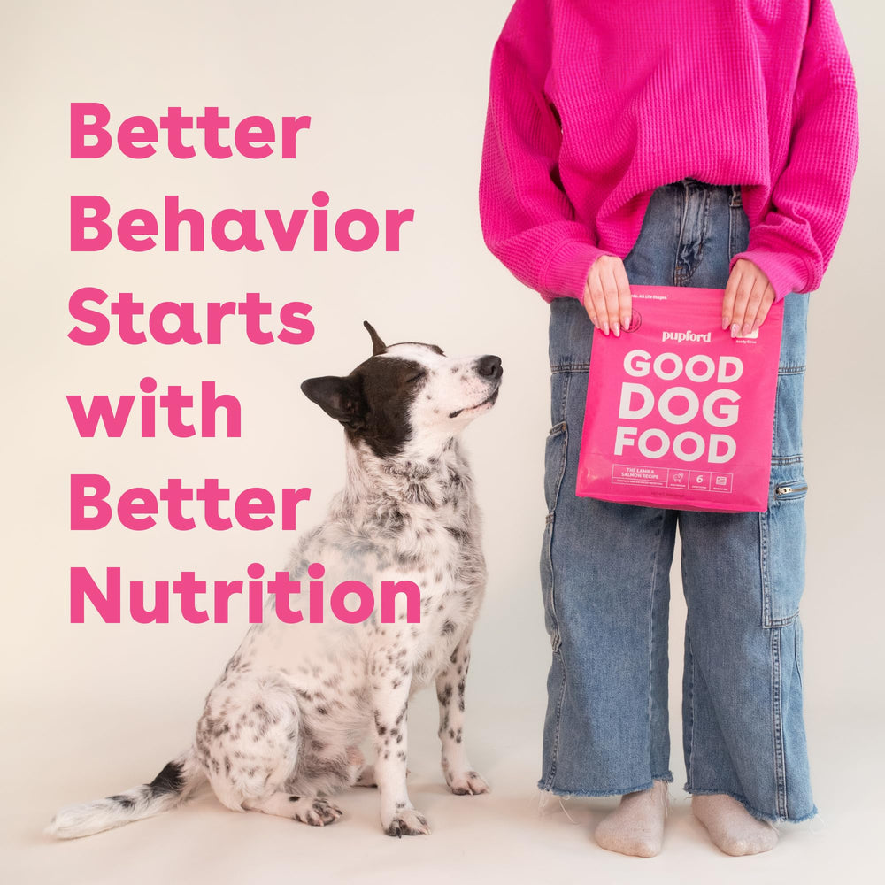 Pupford Good Dog Food approuvé par les vétérinaires, confiance lors de l’achat.