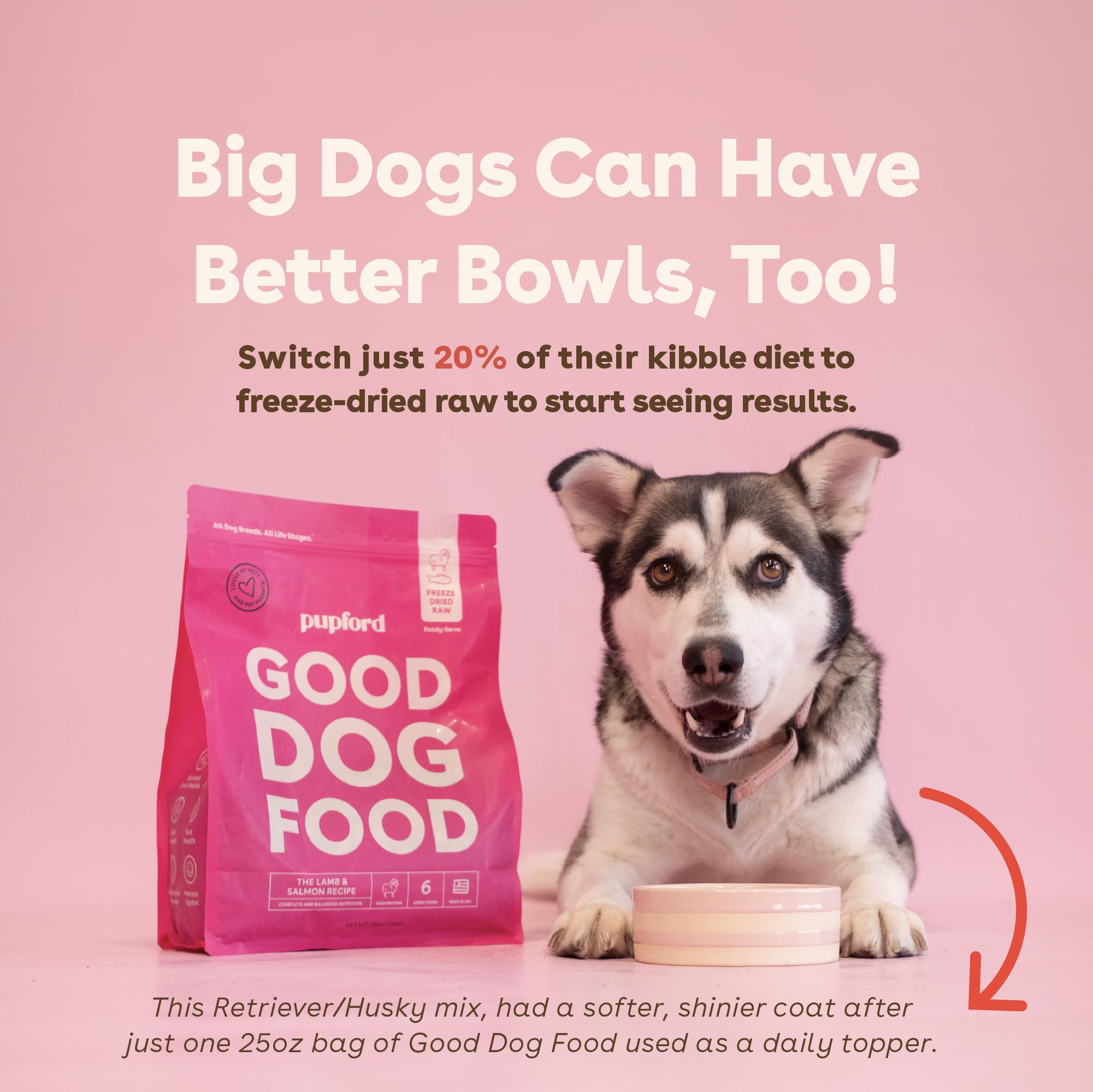 Pupford Good Dog Food emballage 25oz, pratique et facile à ranger.