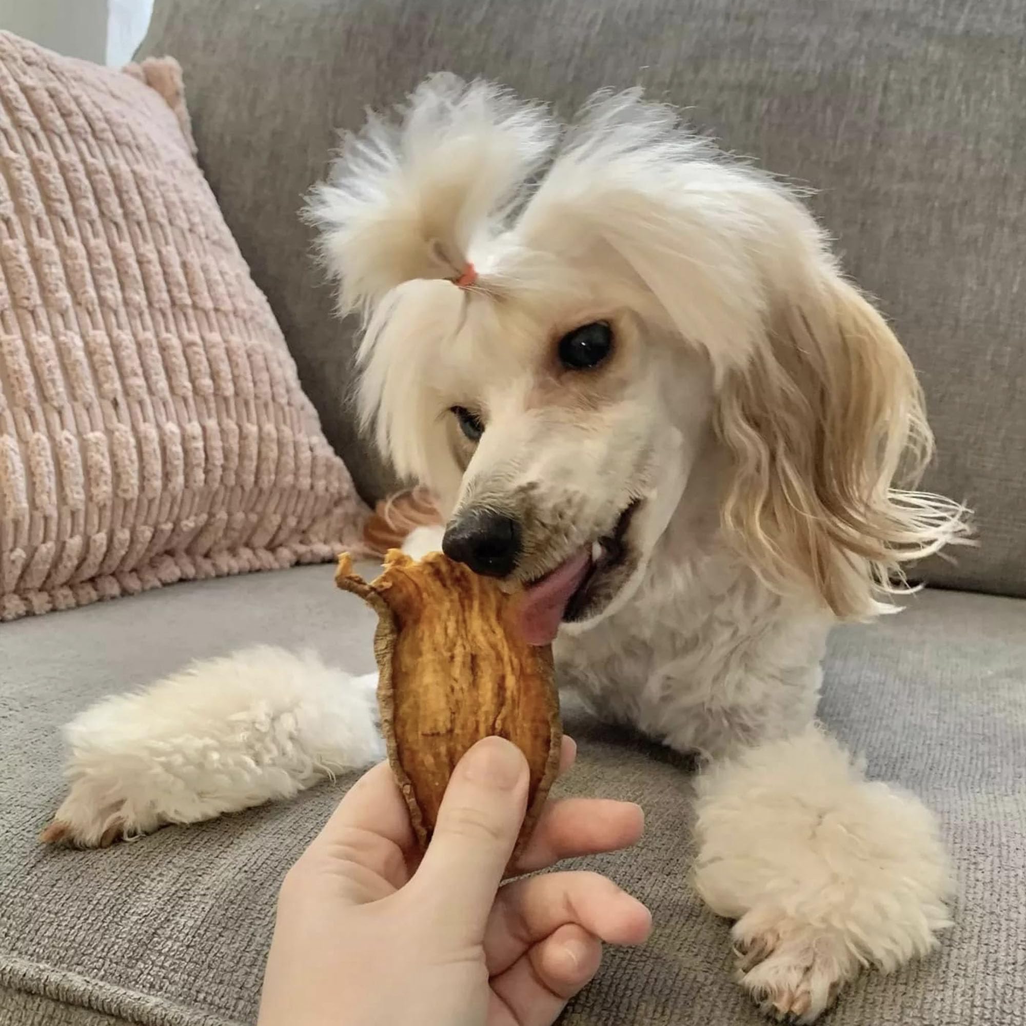Ingrédients simples Pupford jerky patate douce, sans charges ni additifs.