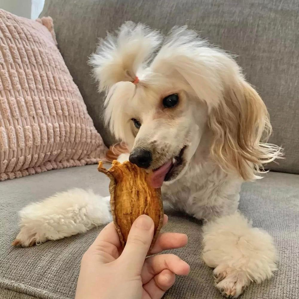 Ingrédients simples Pupford jerky patate douce, sans charges ni additifs.