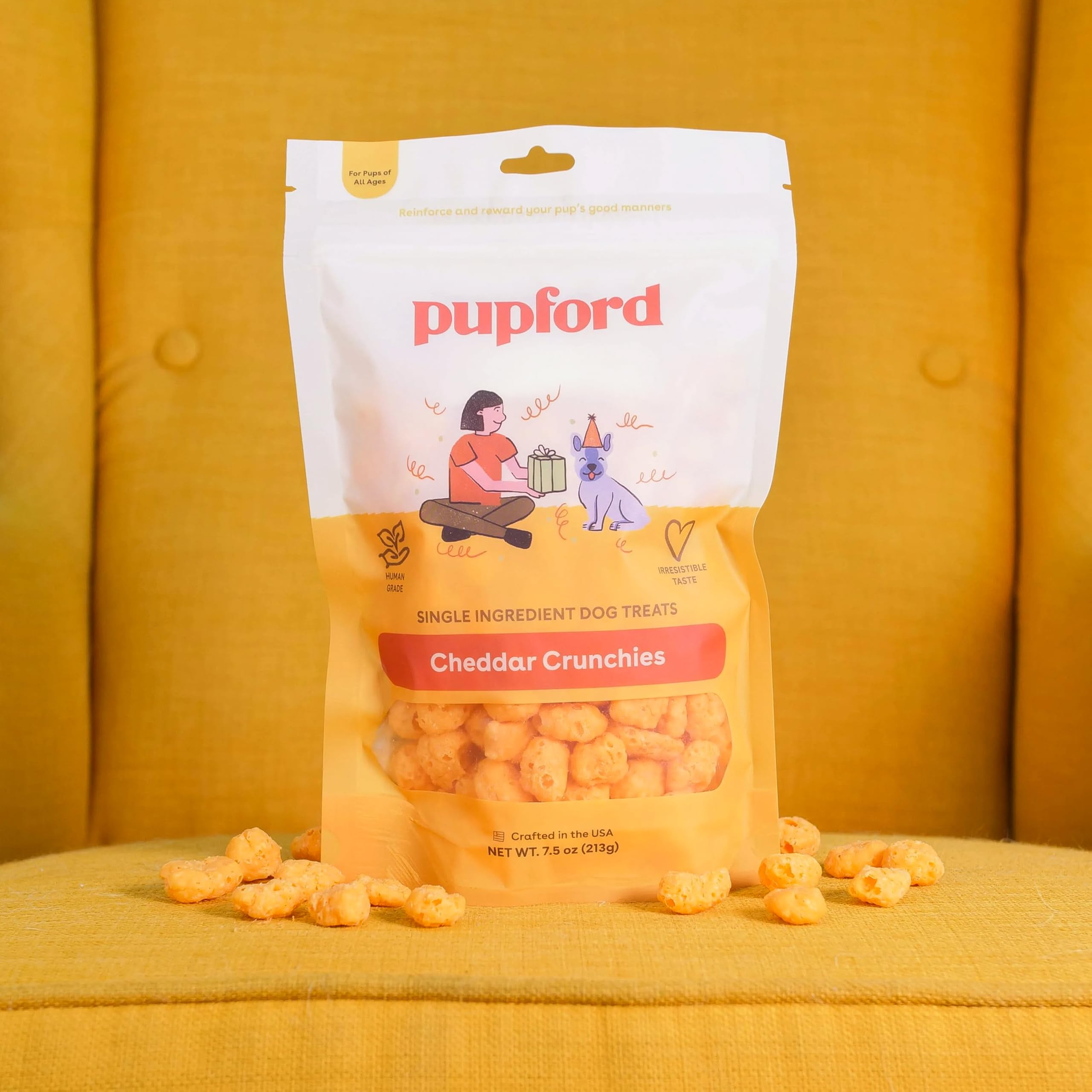 Récompense lors d'un entrainement avec Pupford.