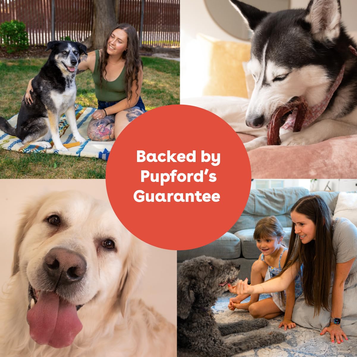Pupford sans additifs et calories vides, snack plus sûr.
