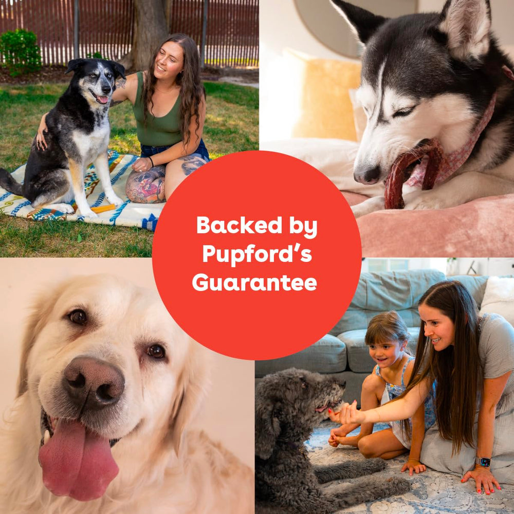 Pupford sans additifs et calories vides, snack plus sûr.