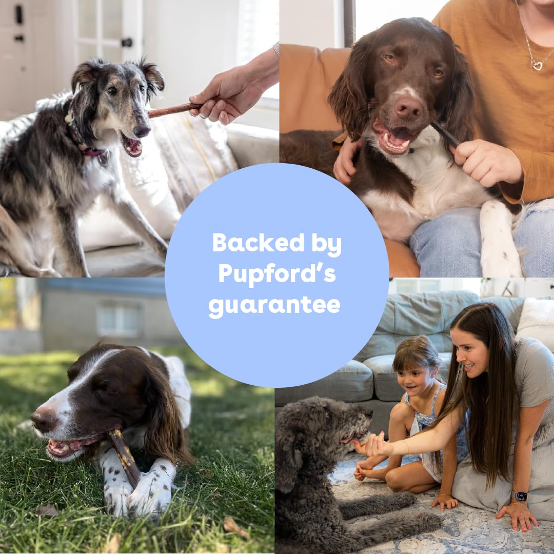 Soin de la peau et du pelage avec Pupford collagène pour chien.