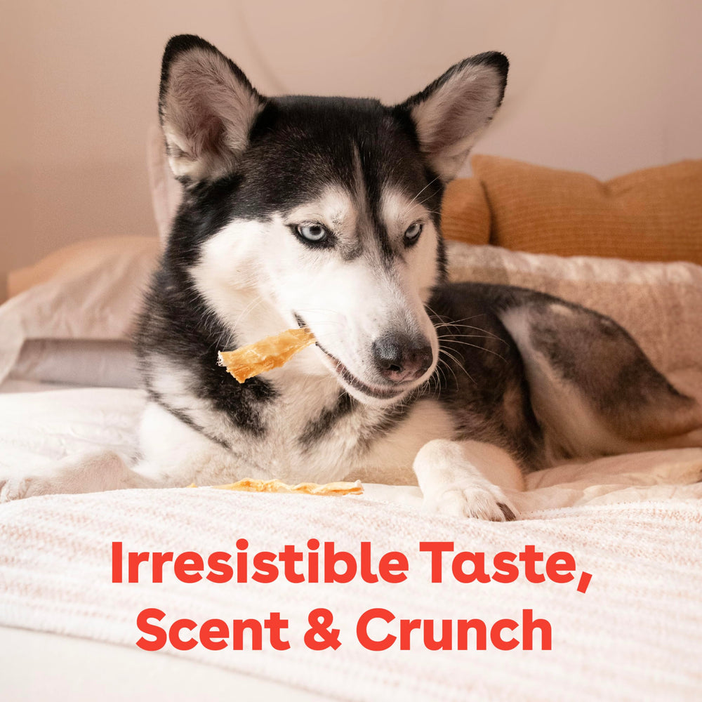 Pupford Tendon de Dinde: sans céréales pour chiens sensibles.