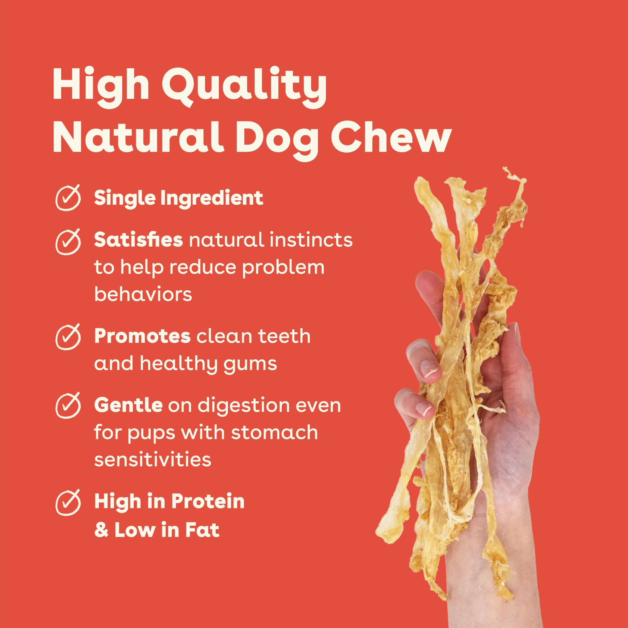 Pupford Tendon de Dinde: soin des dents et des articulations du chien.
