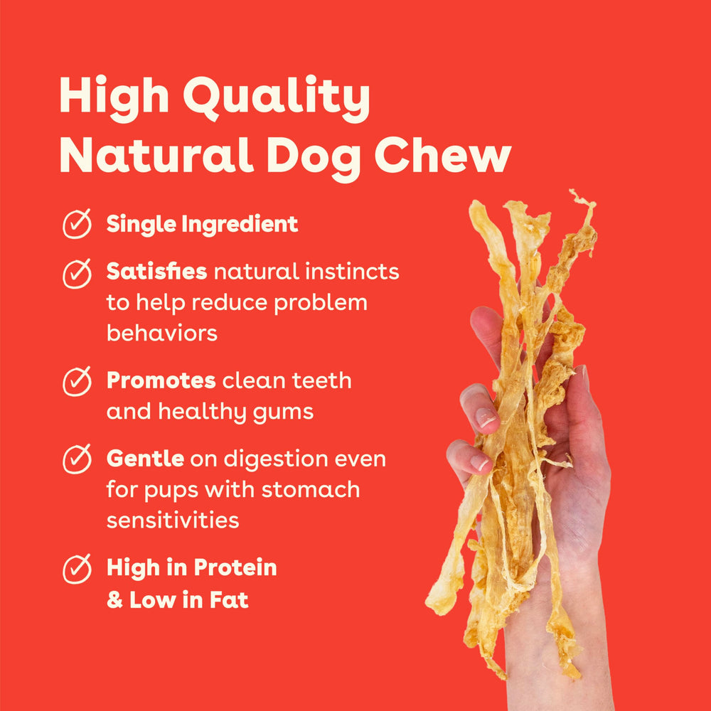 Pupford Tendon de Dinde: soin des dents et des articulations du chien.