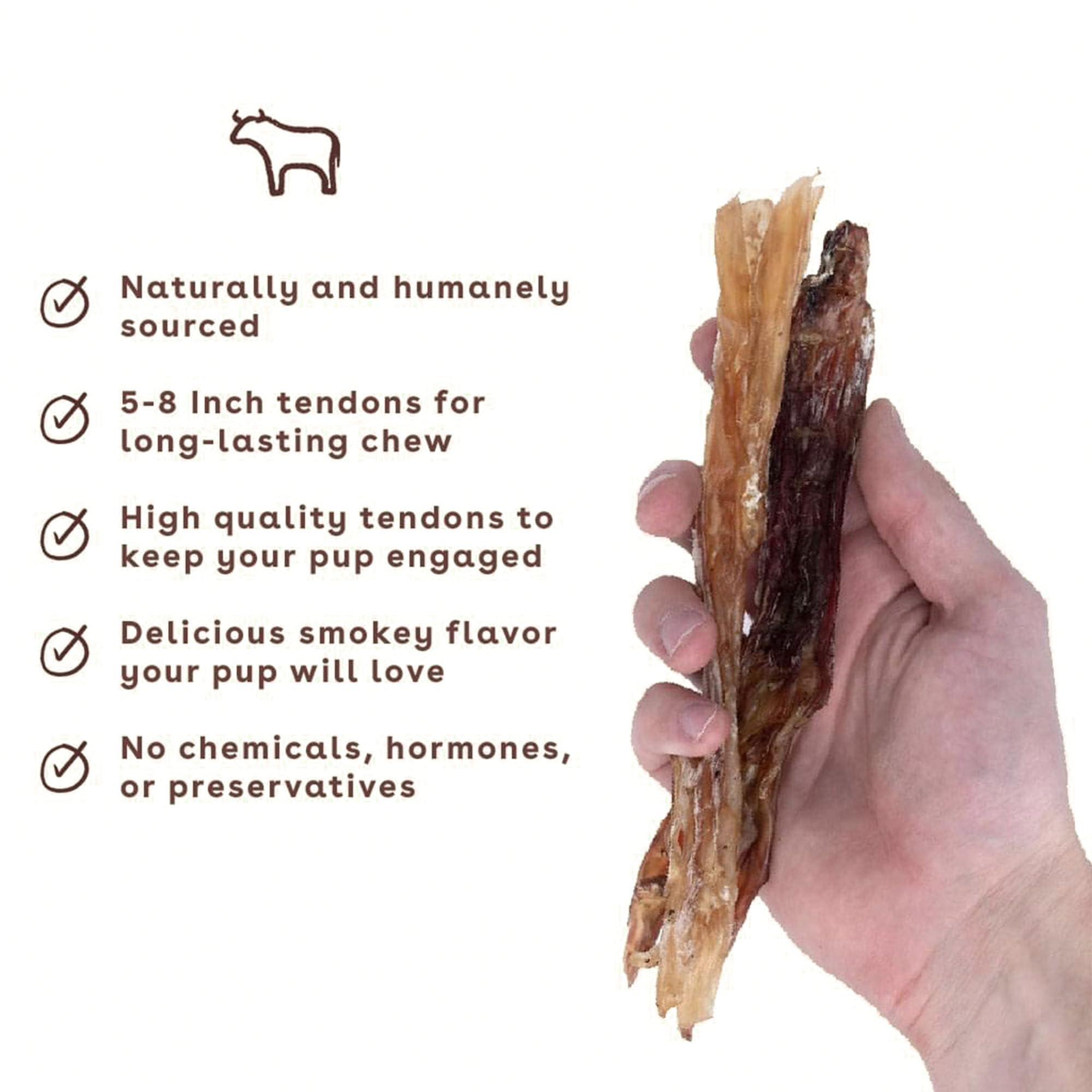 Pupford Tendons de bœuf: mordillage durable pour chien.