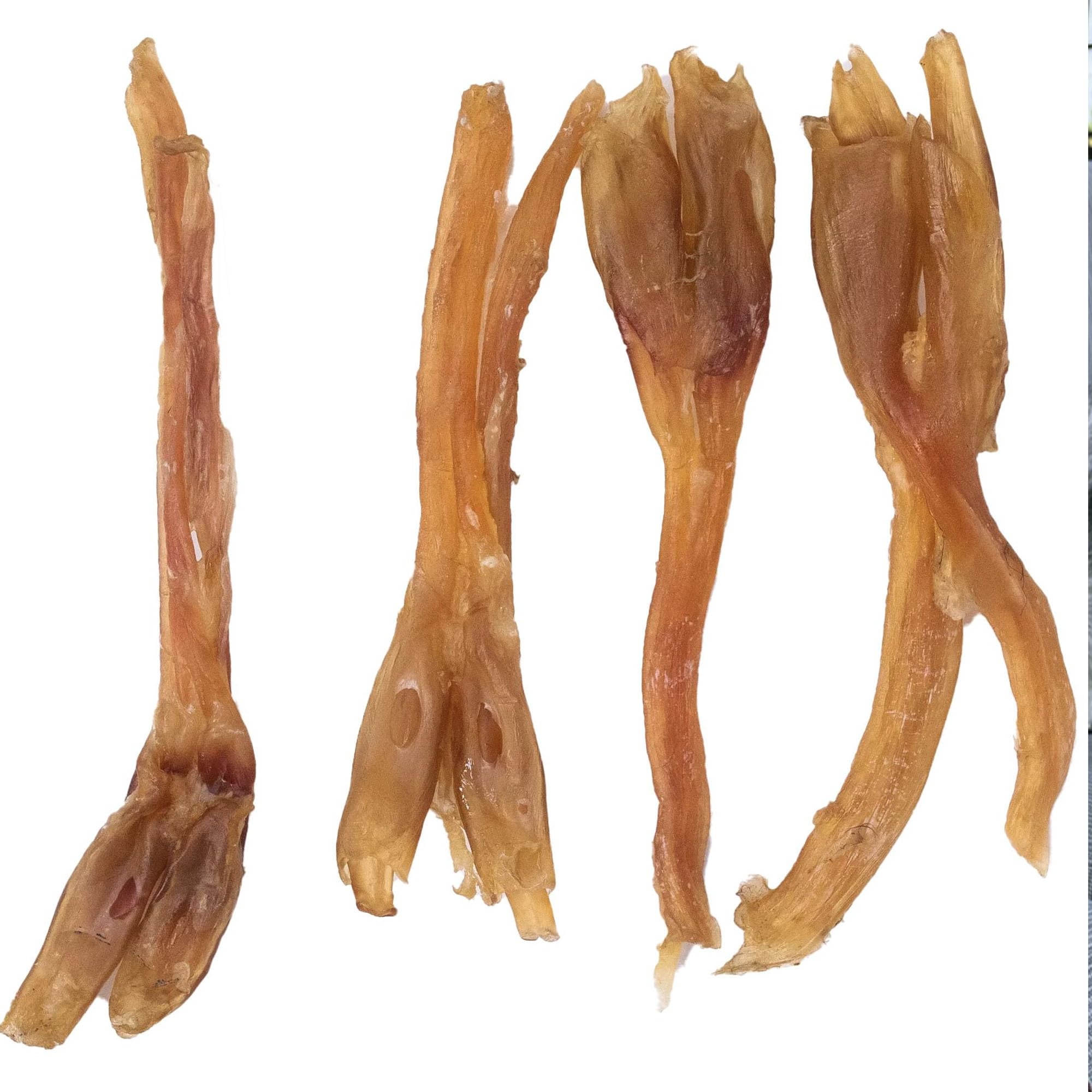 Pupford Tendons de bœuf: nettoyage des dents pendant le jeu.